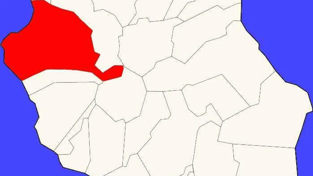 12451437-19540538
