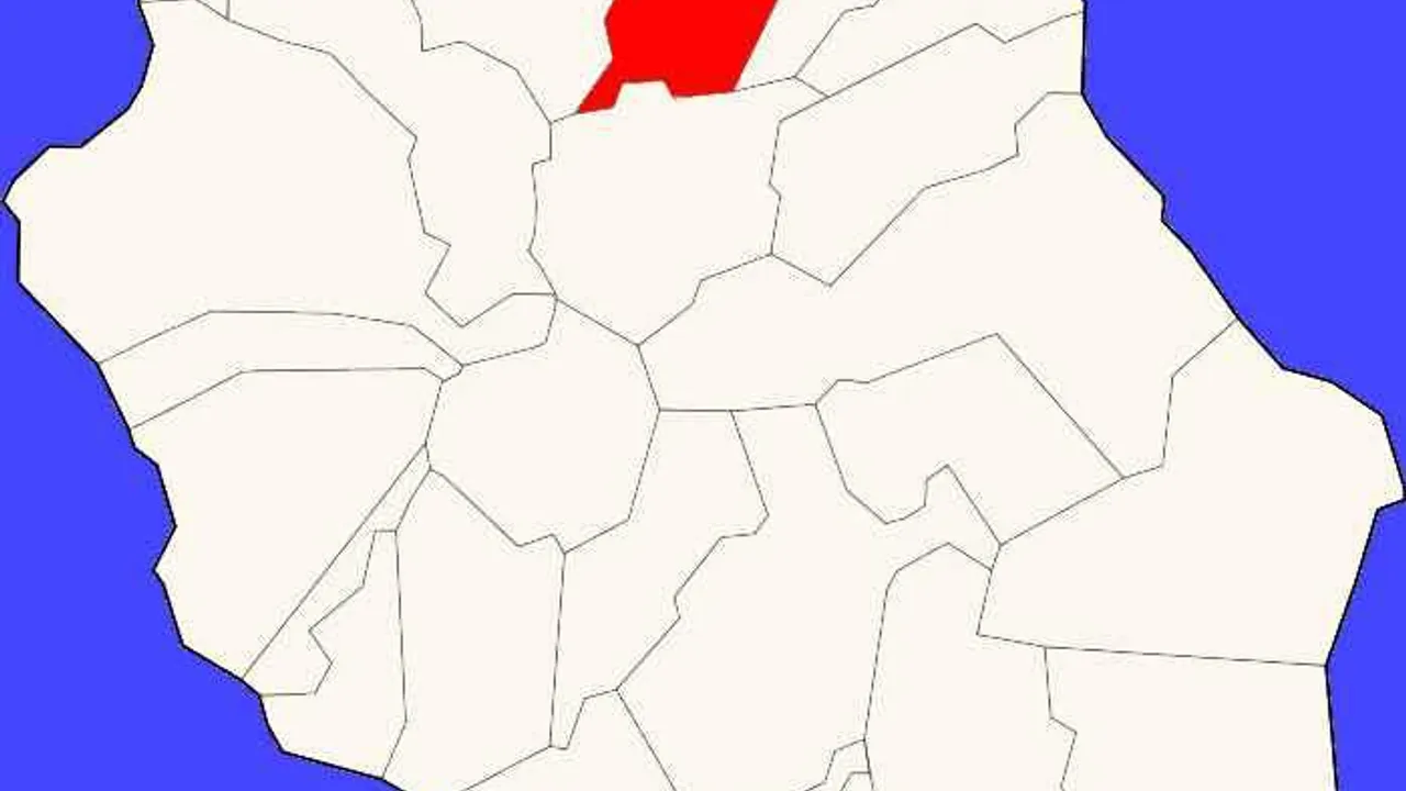 12451623-19540700