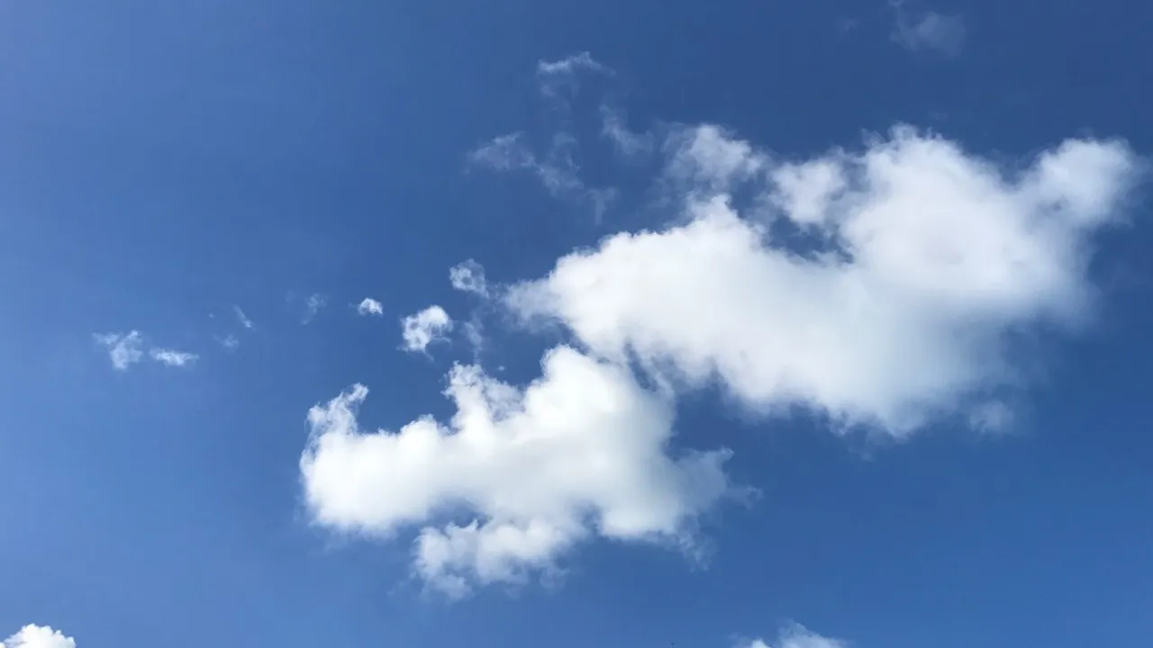 13456590-19922185
