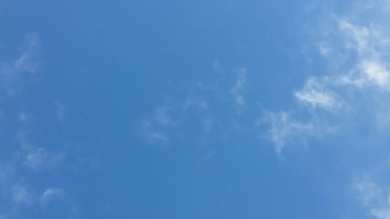 13902862-20095060
