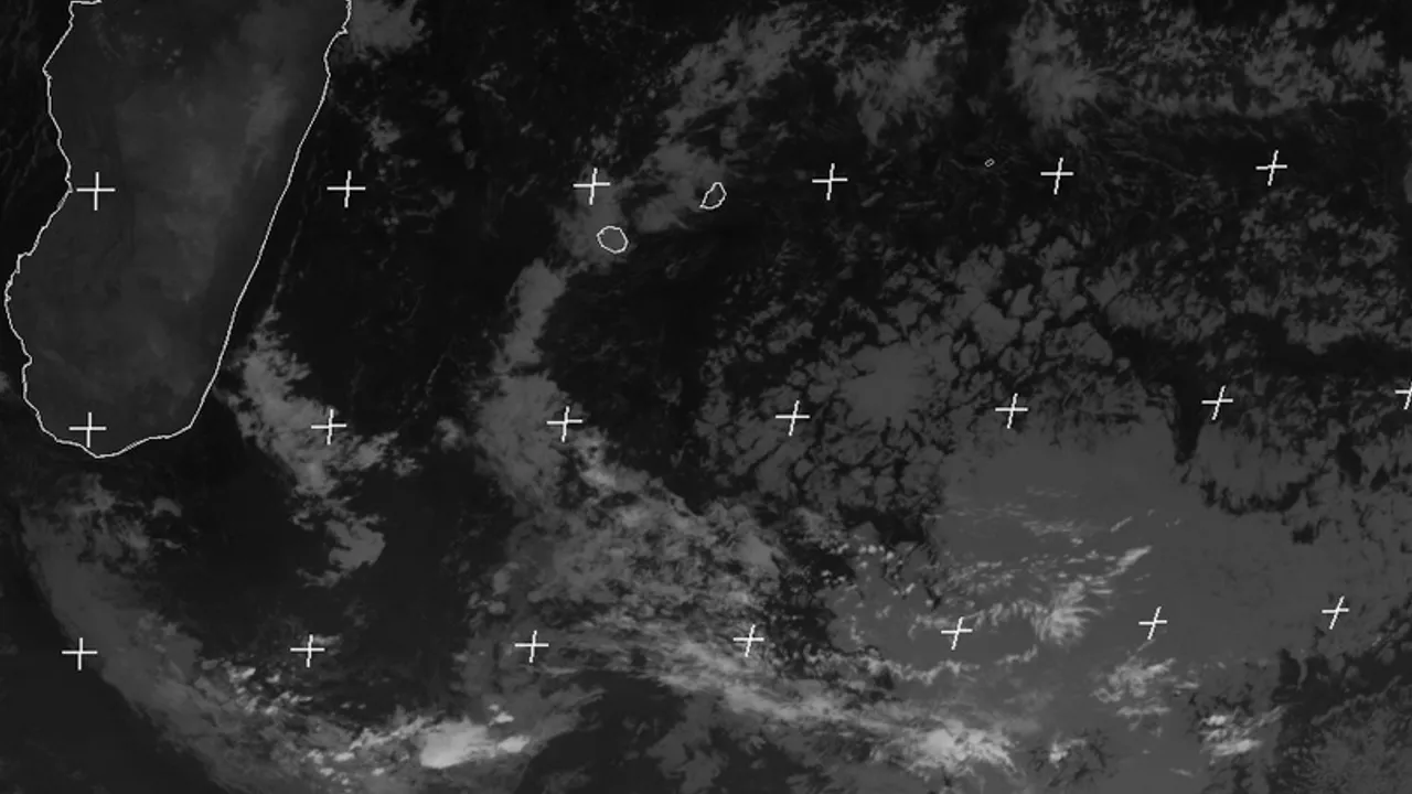 14202037-20220243