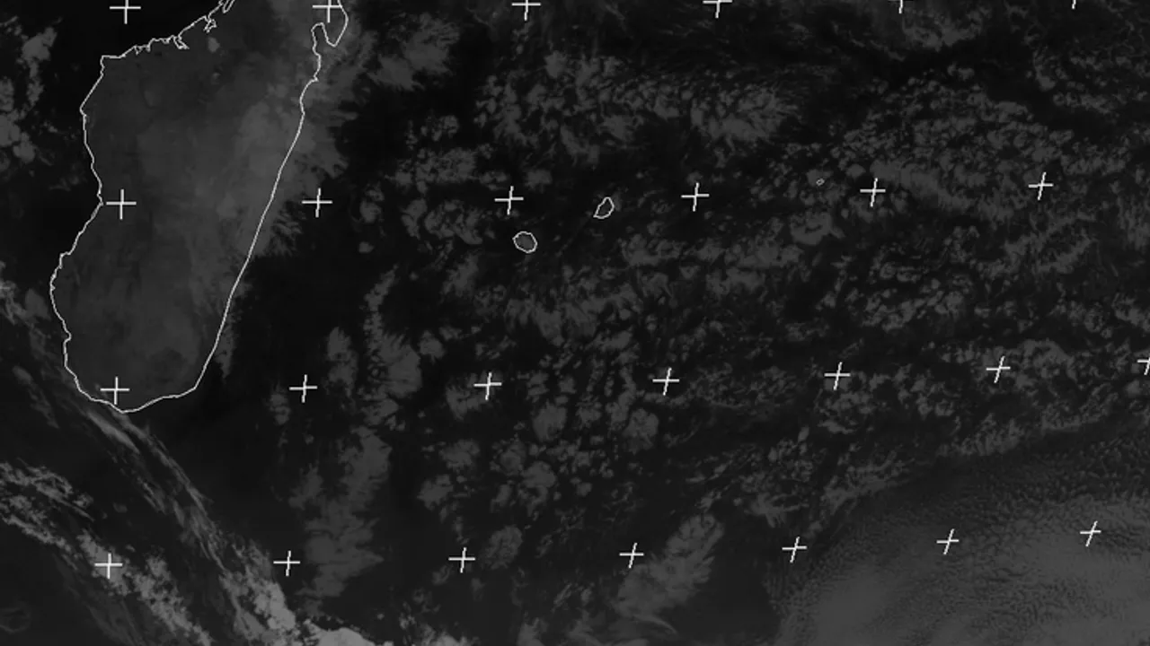 14597026-20370517