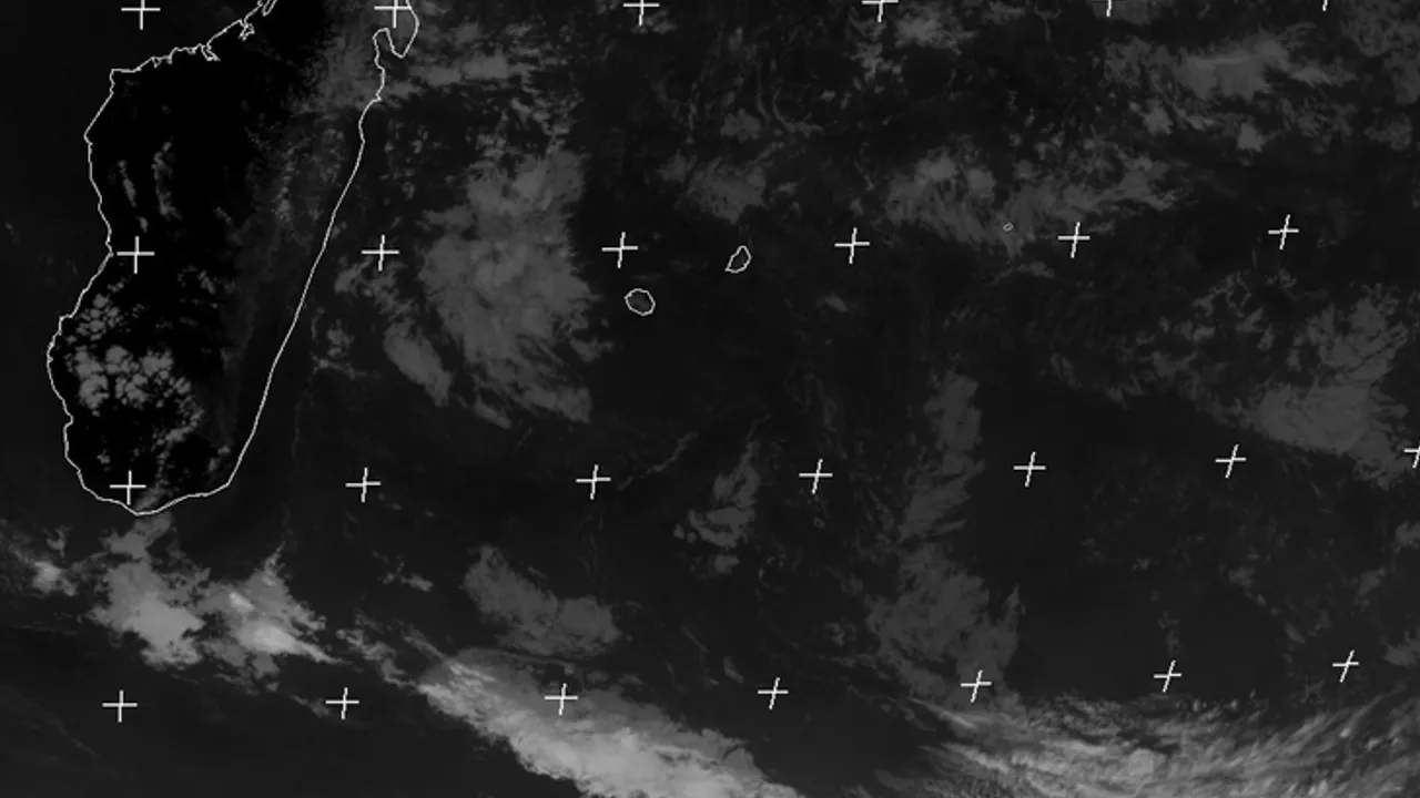 14692566-20416456