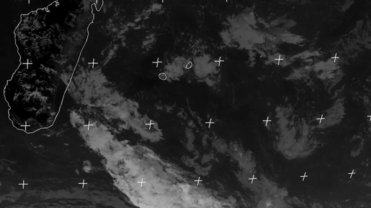 14736732-20433741