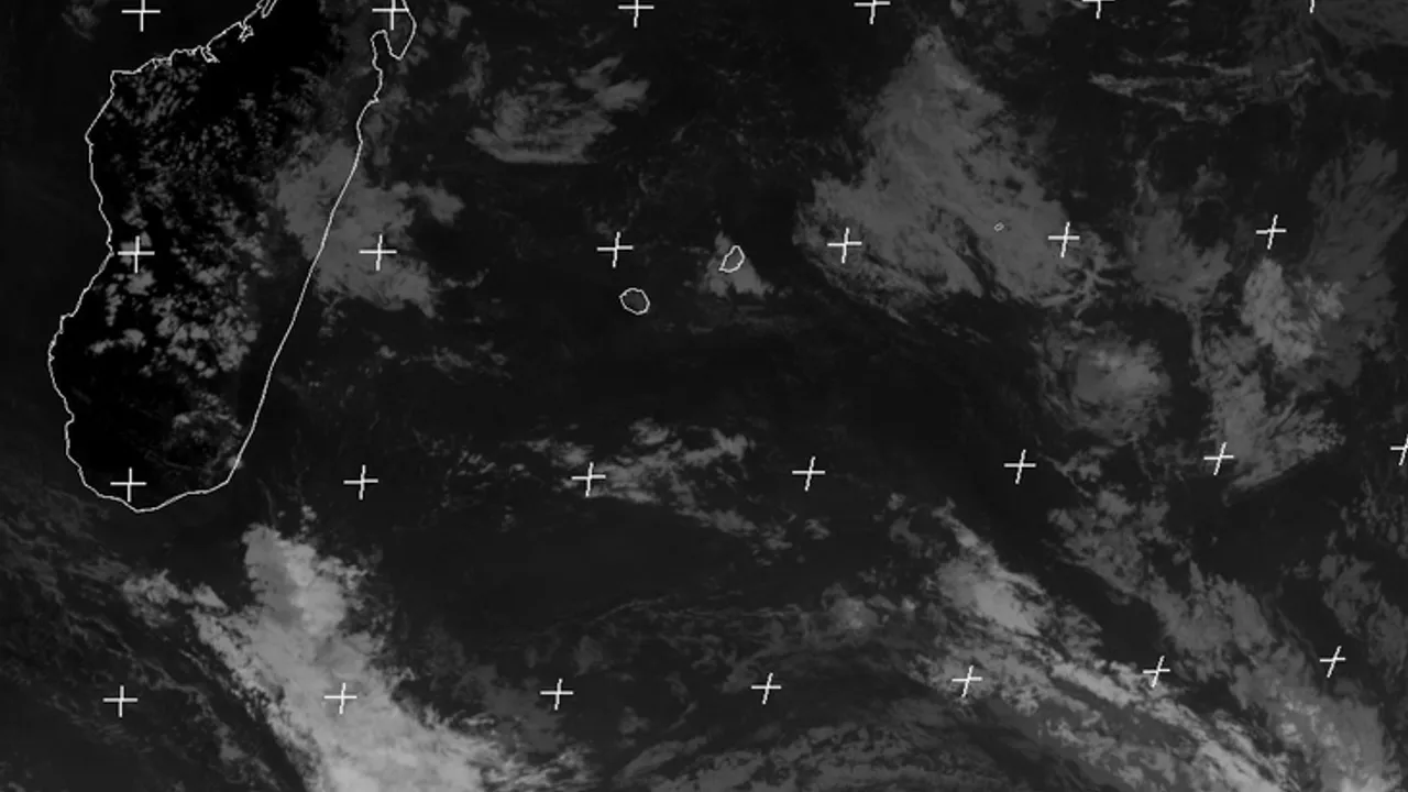 14771276-20448466