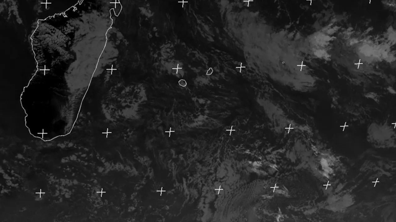 15142736-20611177