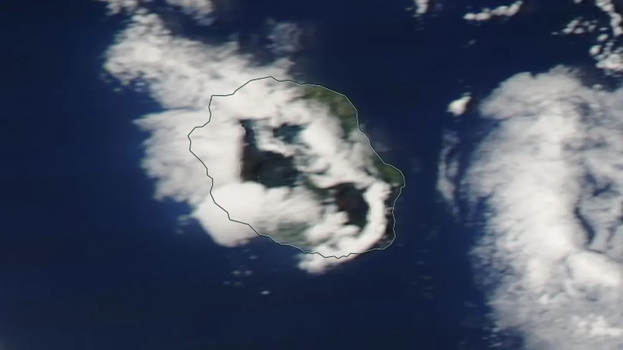 17136138-21669455