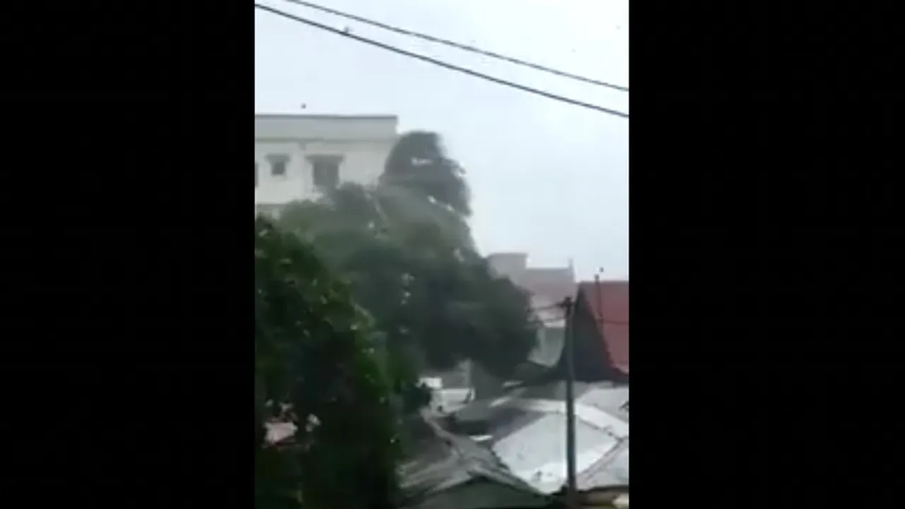 19317525-23252215