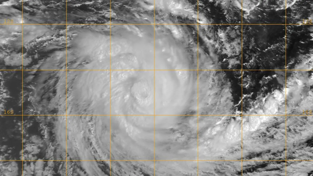19793988-23529418