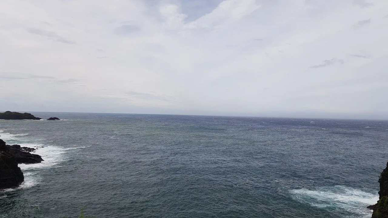 20638956-24024138
