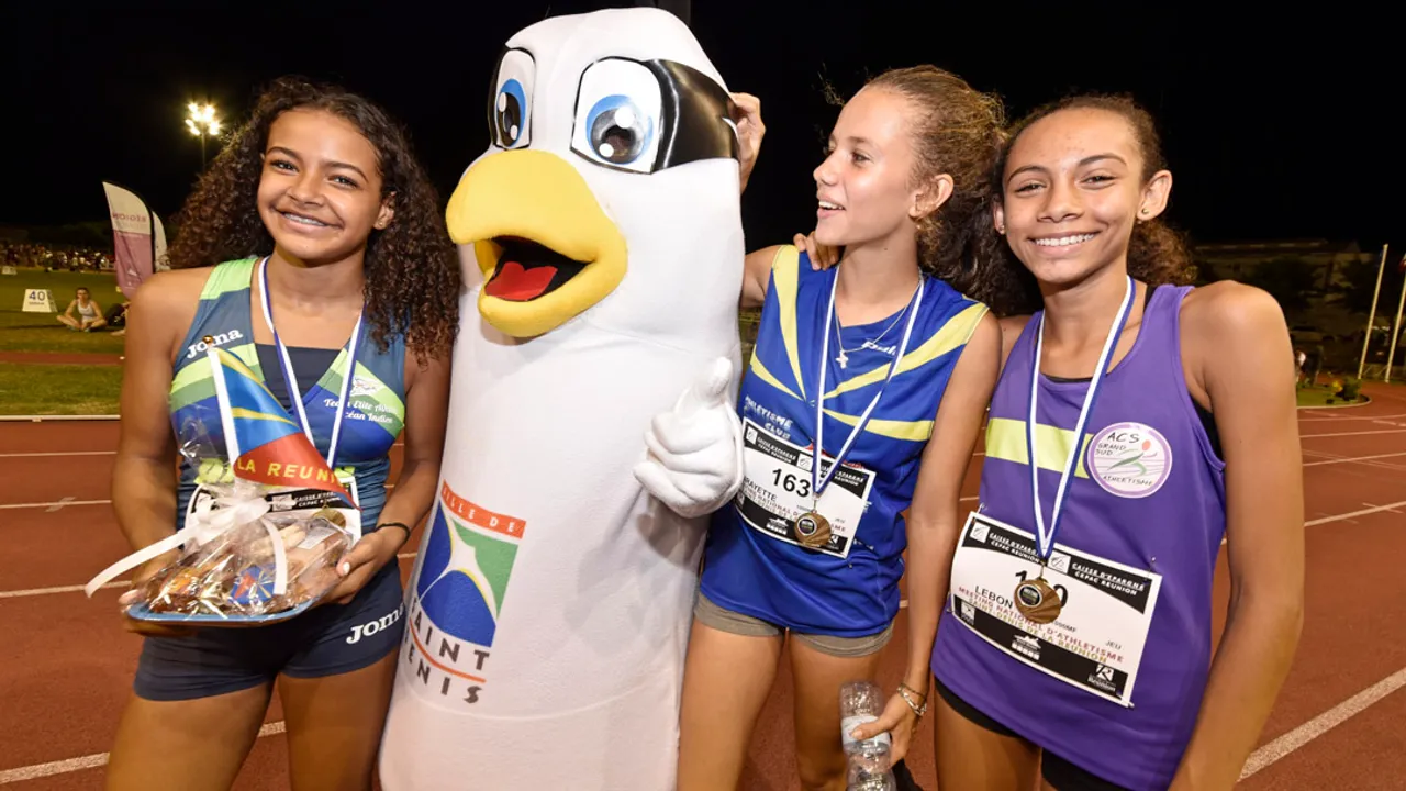 21707800-24653617