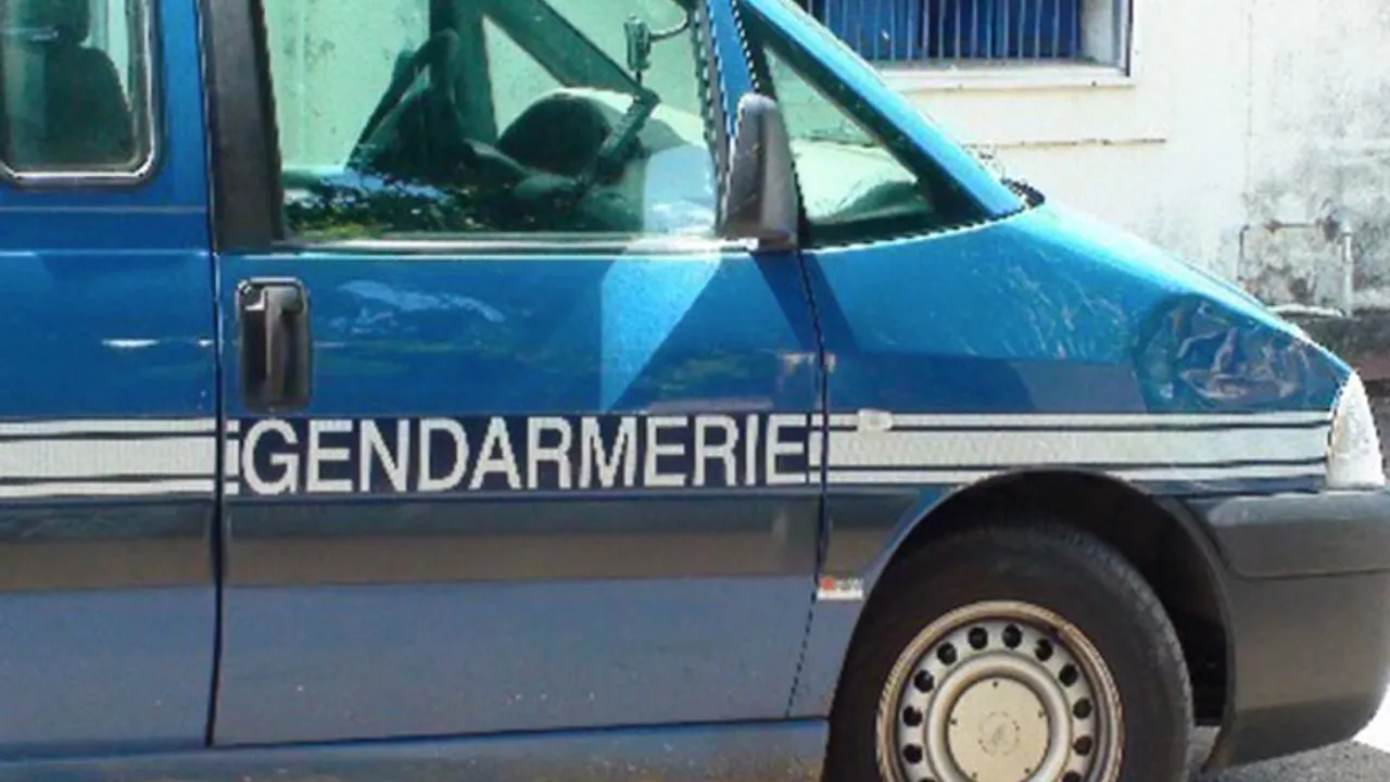 29507849-28522569