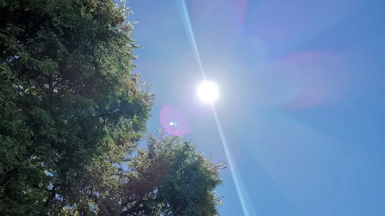 31090826-29431518