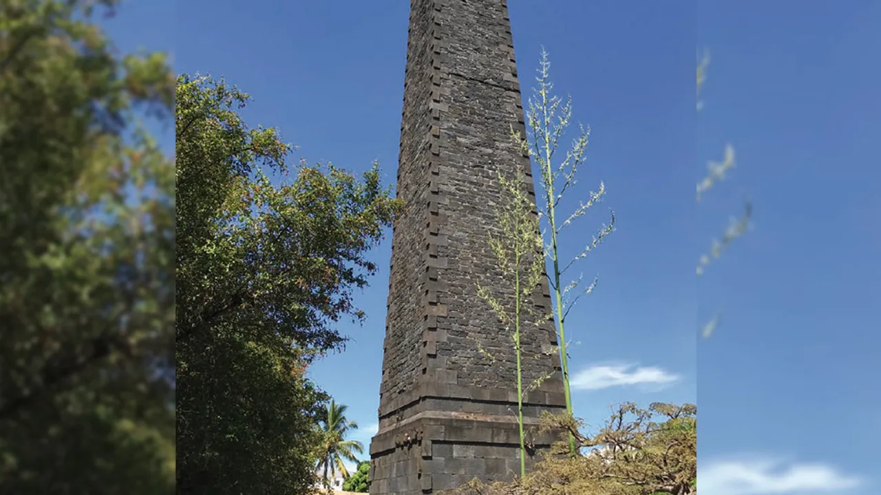 33027508-30601521