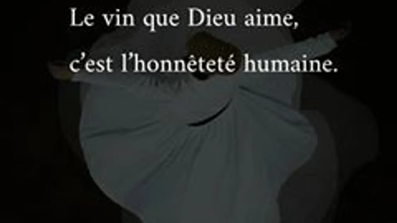 33305339-30738146