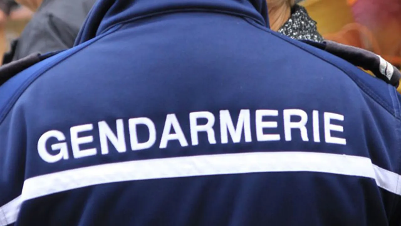 34035360-31224796