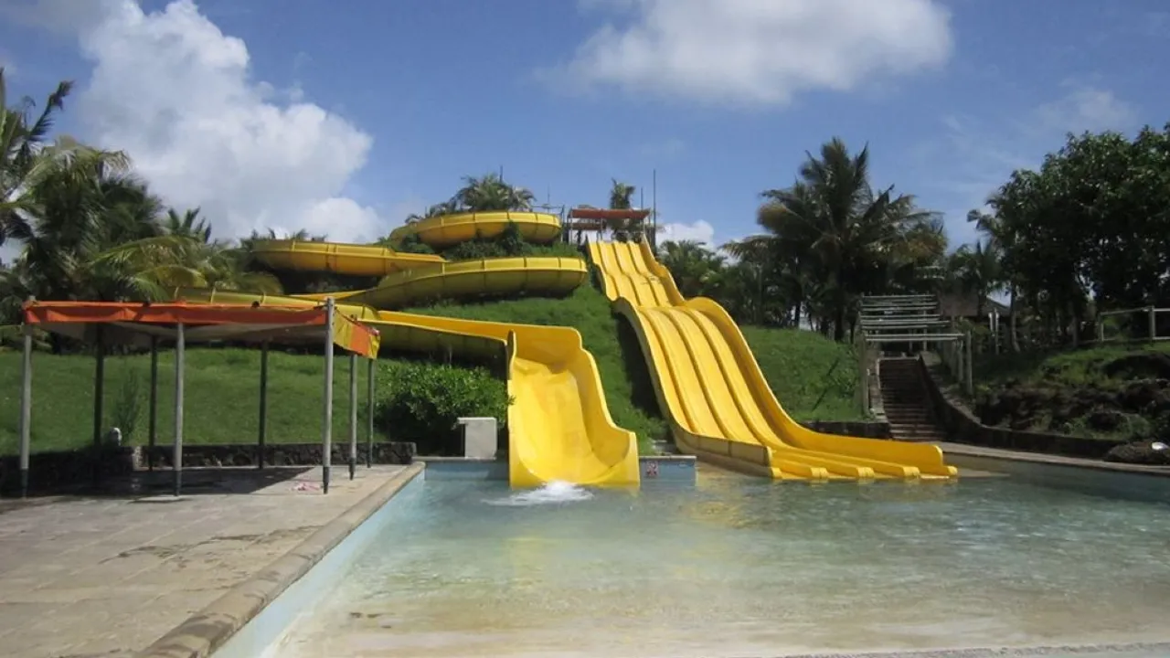 38278741-33489993