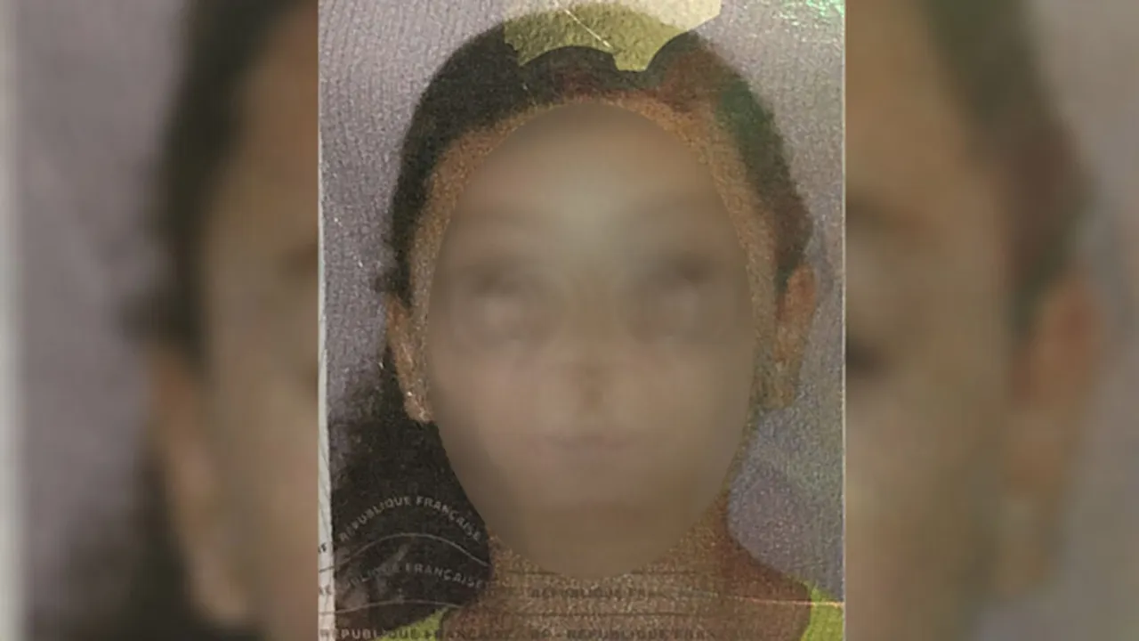 39041178-33783307