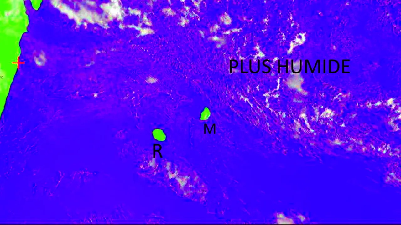 39161069-33827020