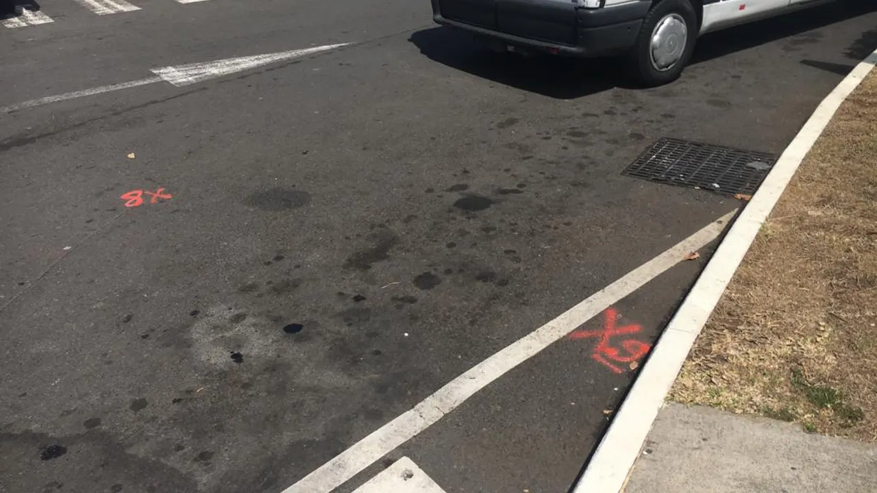 39258973-33865413