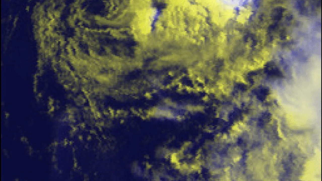 42008839-35147358
