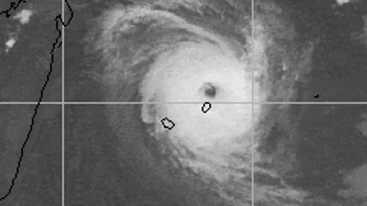 42019257-35158385
