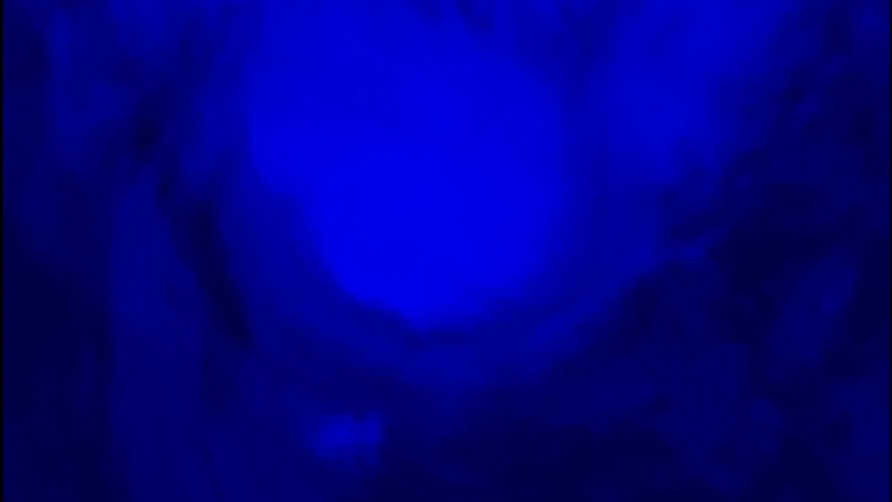 42146045-35246468