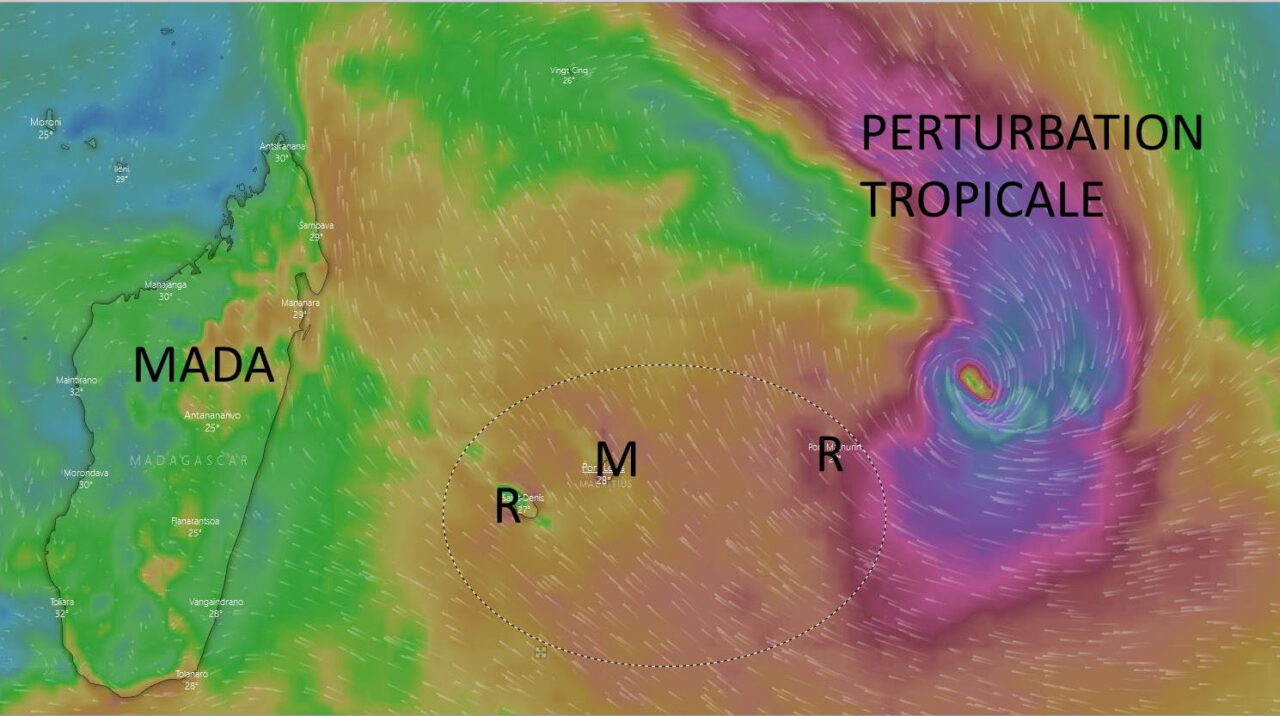 42452059-35388021