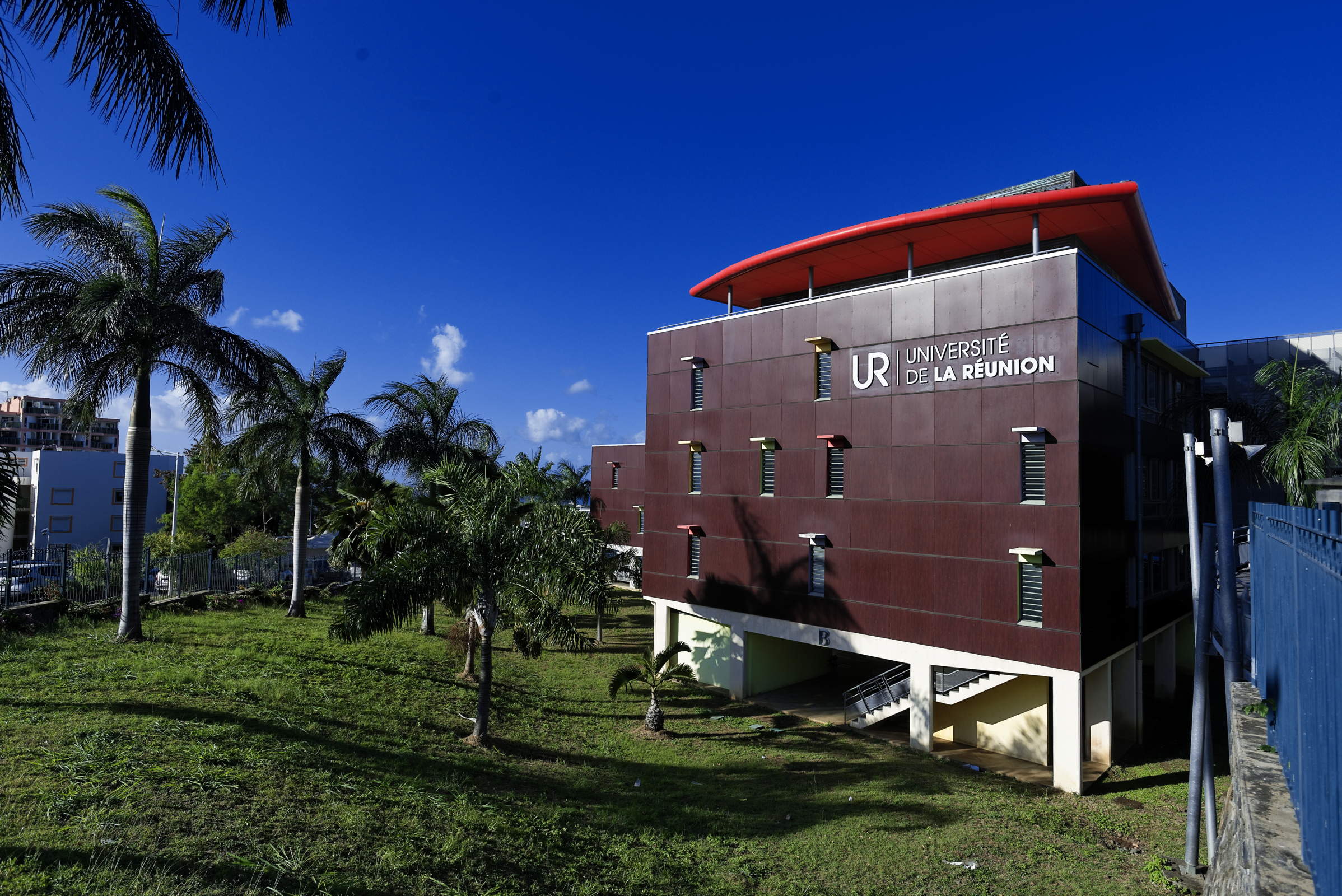 Professeur de l'UFR Santé, Université de La Réunion