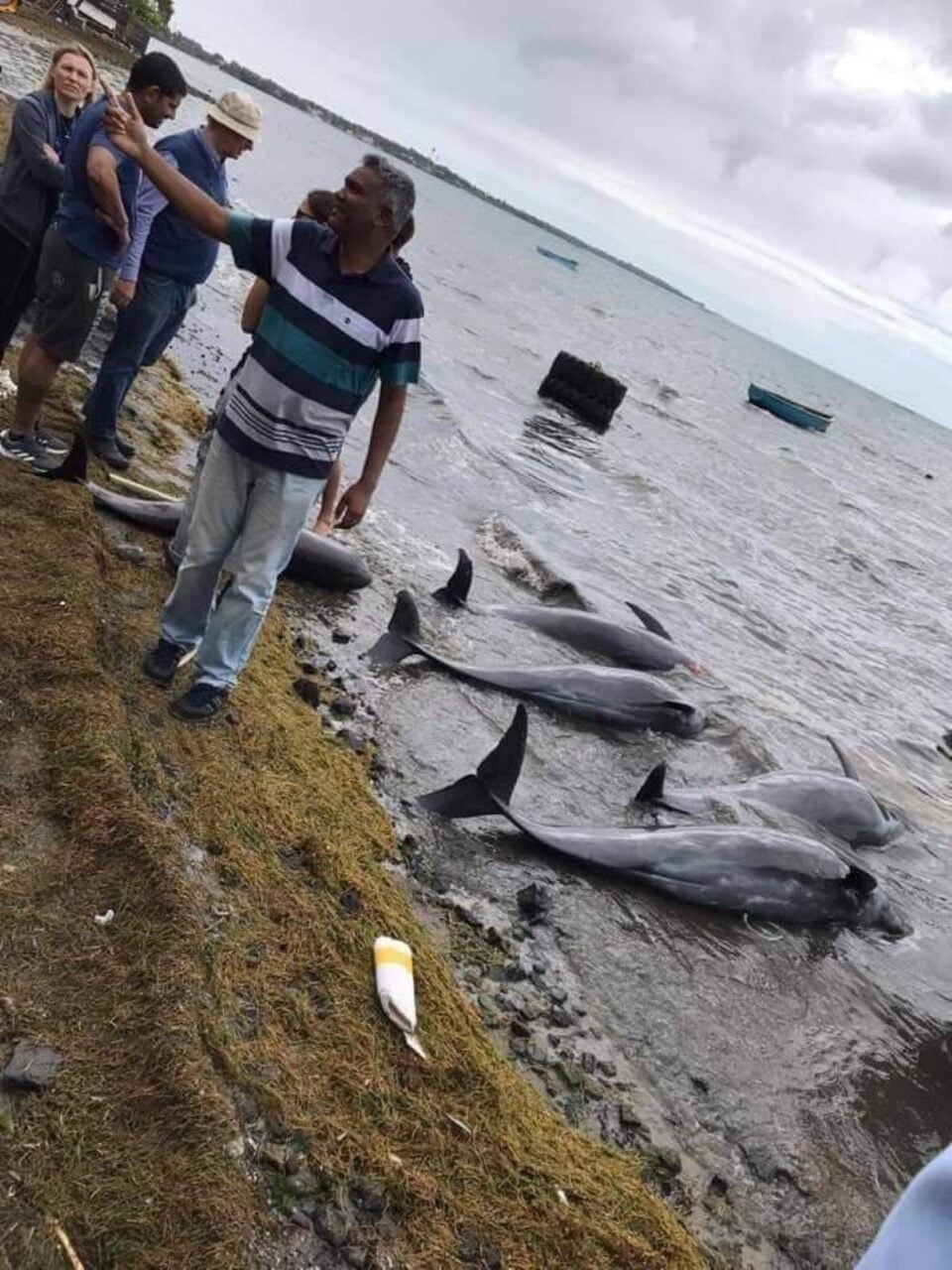 50177327-38796645