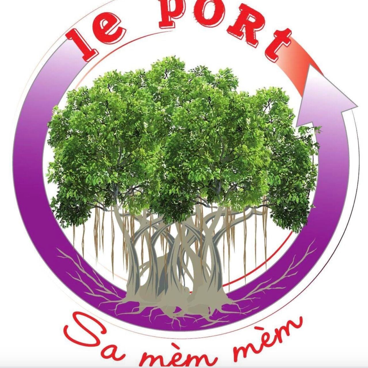 51234369-39368549