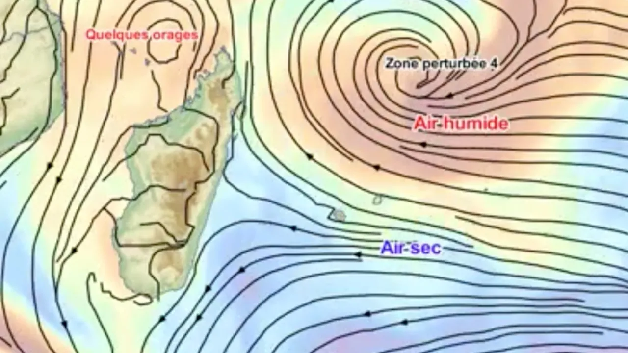 52506538-40019139