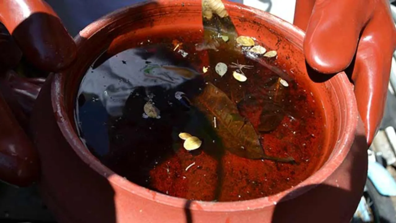 52530357-40031659