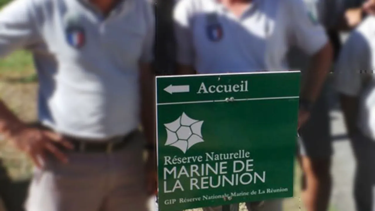 52995523-40236773