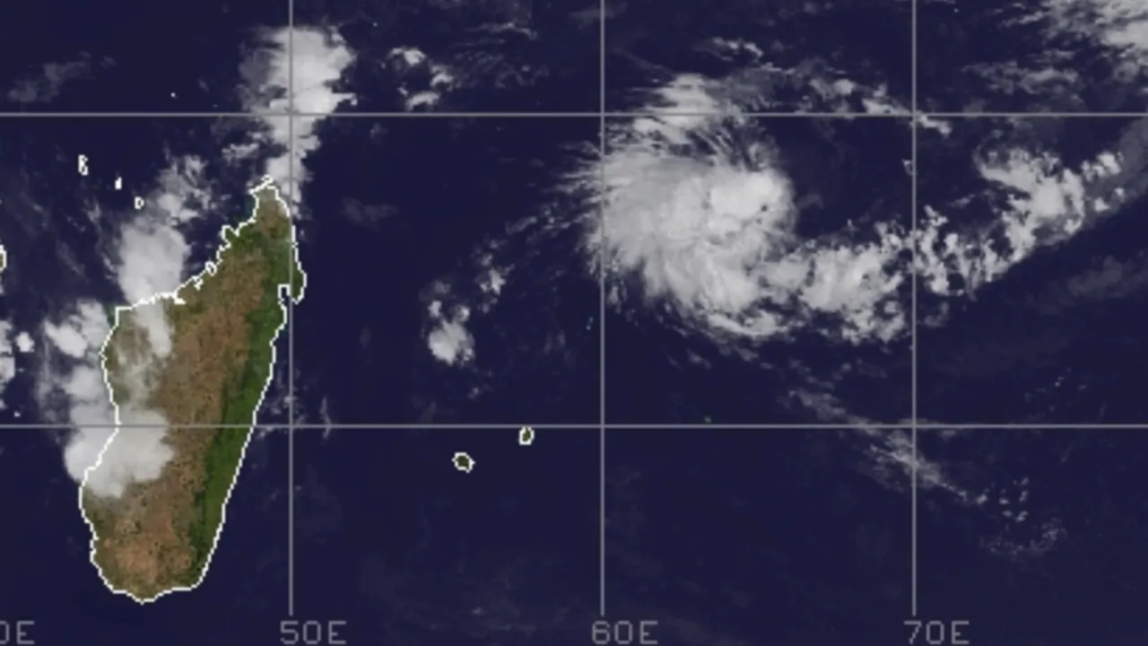 53113235-40299158