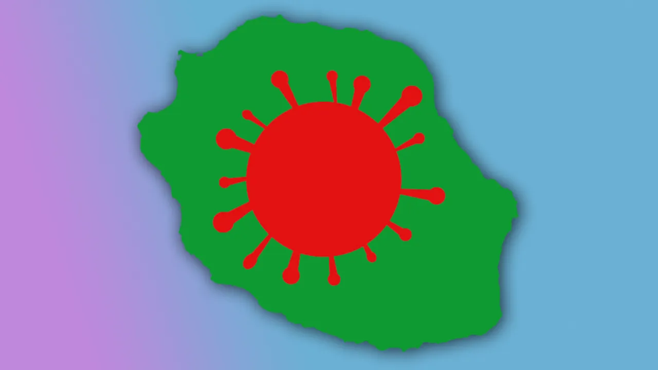 54566708-41051539