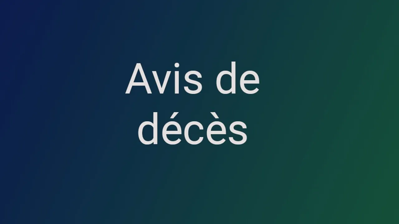56238984-41904266