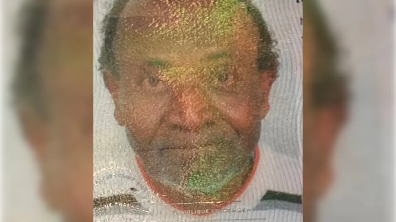 56866603-42241767