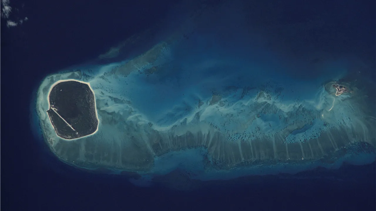 57026690-42322616