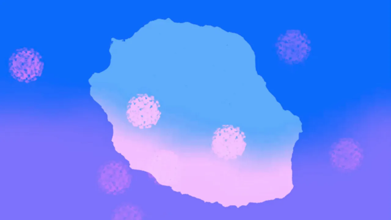 57531974-42605484