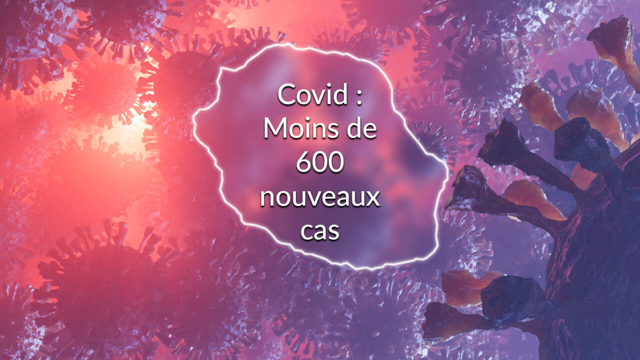 59020688-43444945