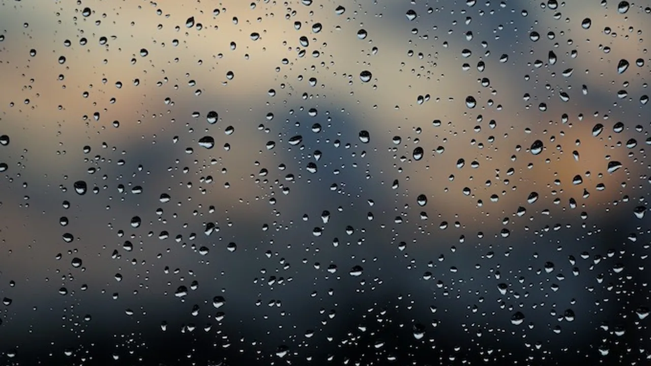 61632772-44879027