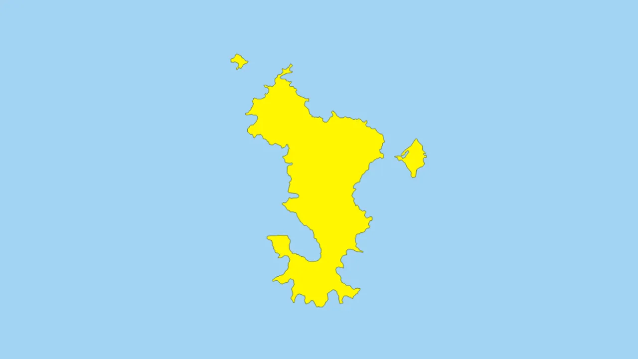 61779237-44951919