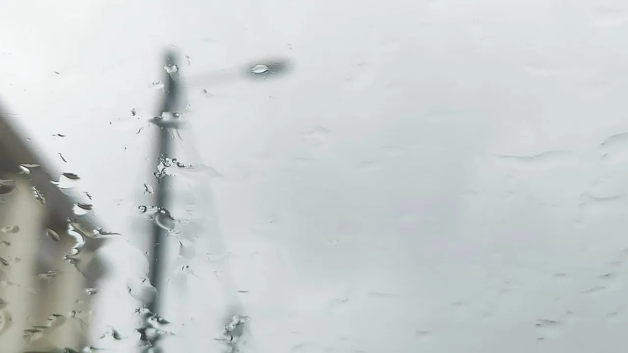 62161535-45134563
