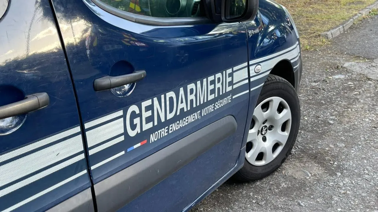 65346068-46645628
