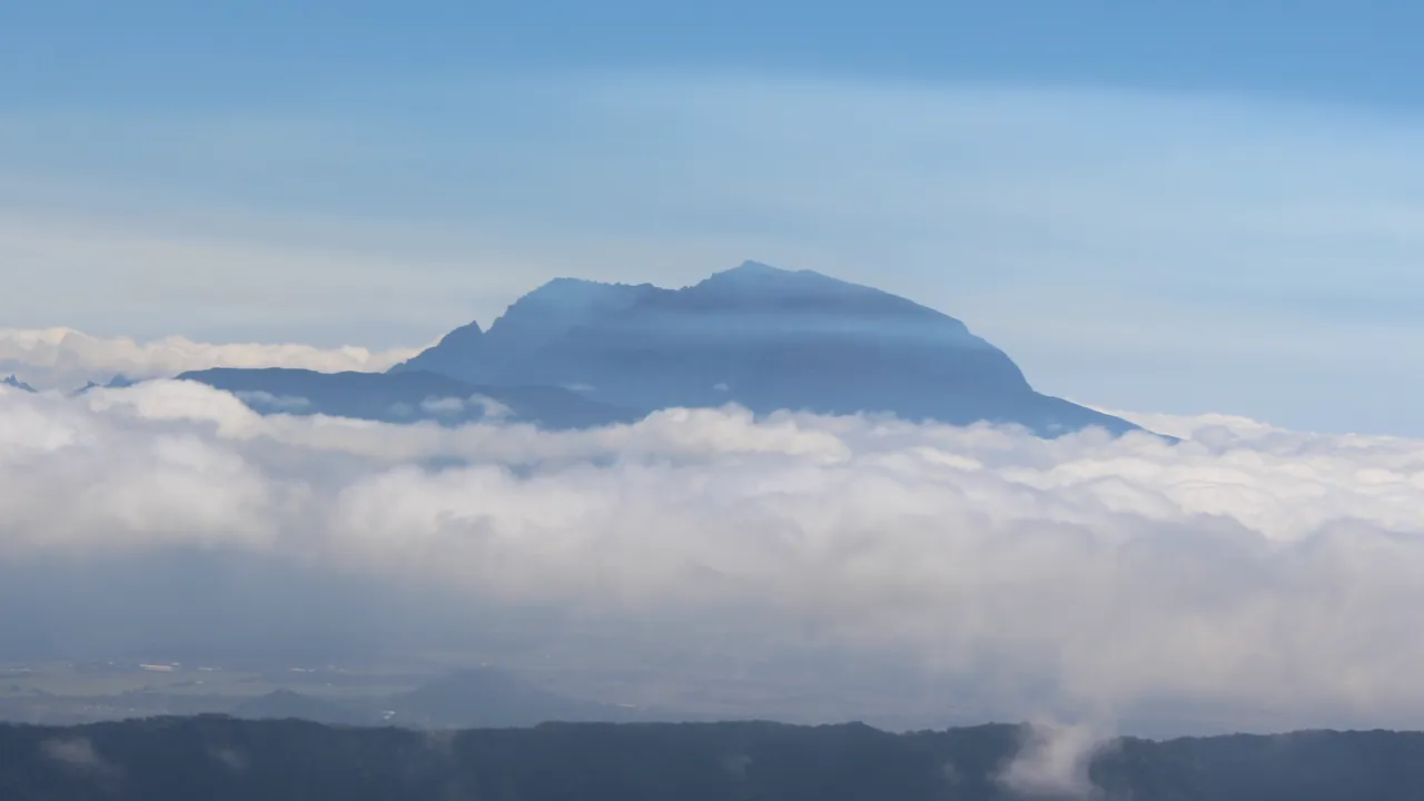 66019263-46996373