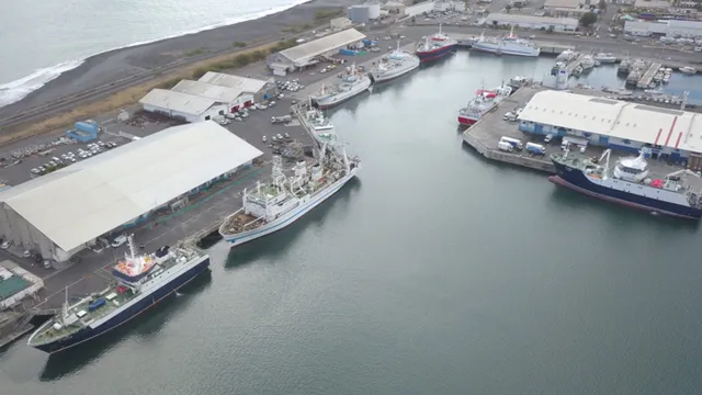 Pêche Pêche Légine
