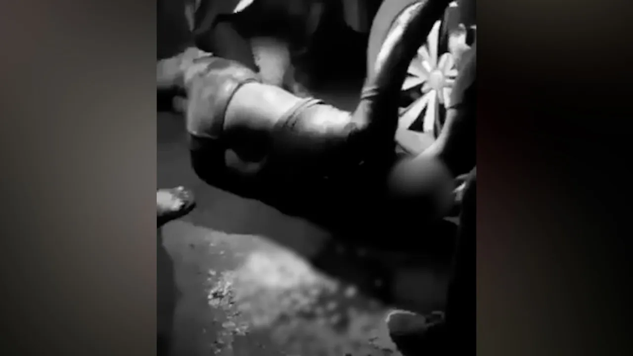 66511590-47235896
