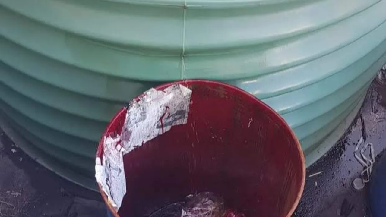 67701711-47811994