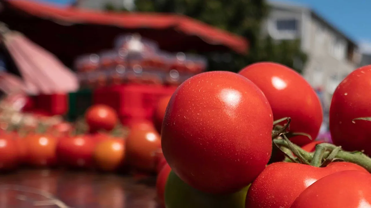 Tomates